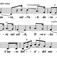 Va Pensiero (The Slaves' Chorus) from Nabucco: Giuseppe Verdi